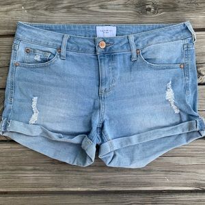 Celebrity Pink Denim Shorts